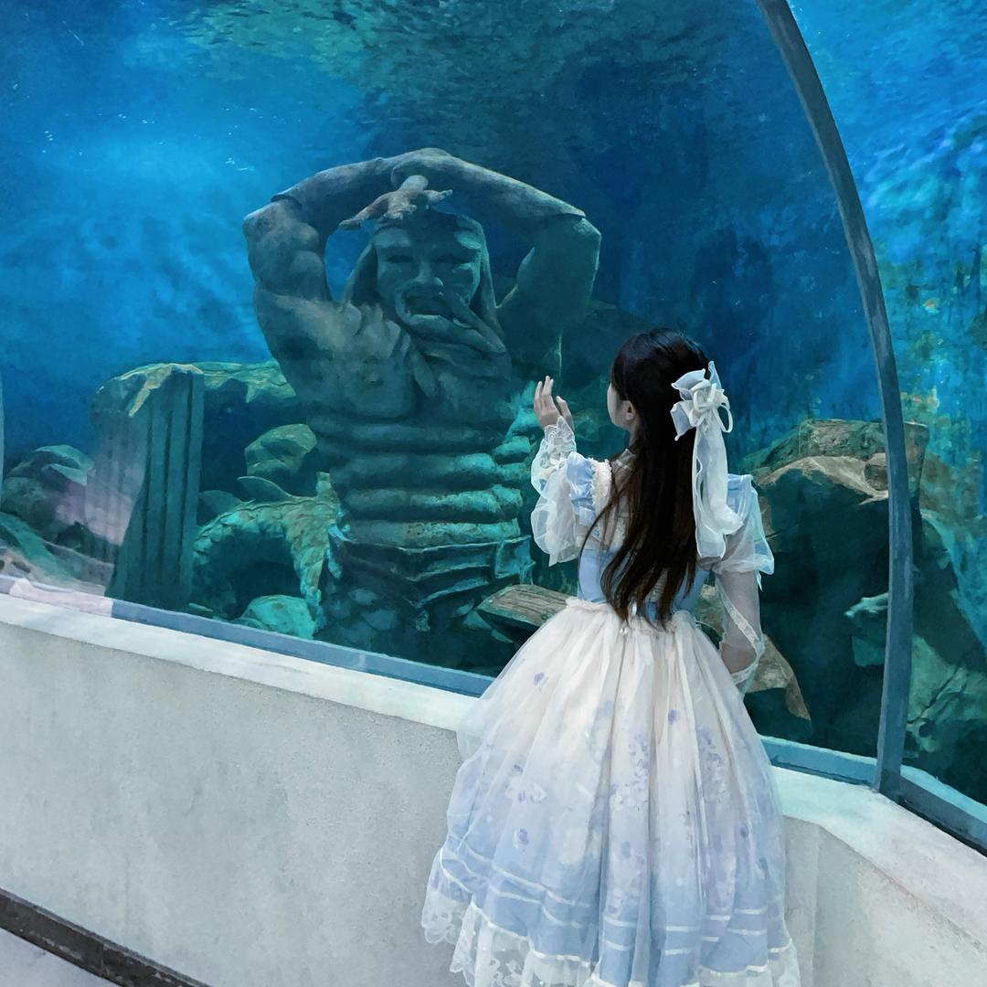 沧州海洋馆推荐官-小宇