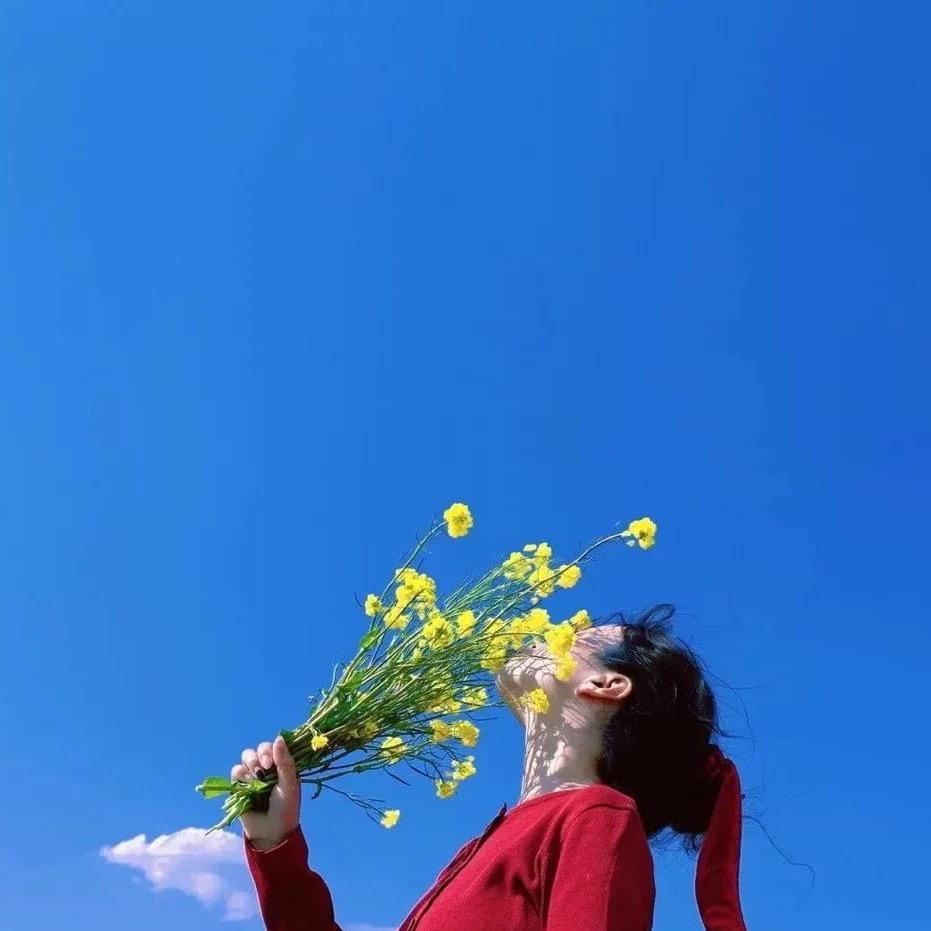 木兮木呀