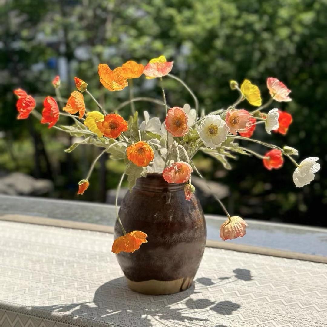 苏苏2019