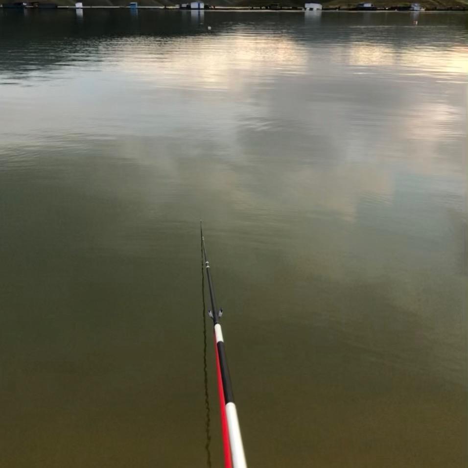 你们这帮小可爱