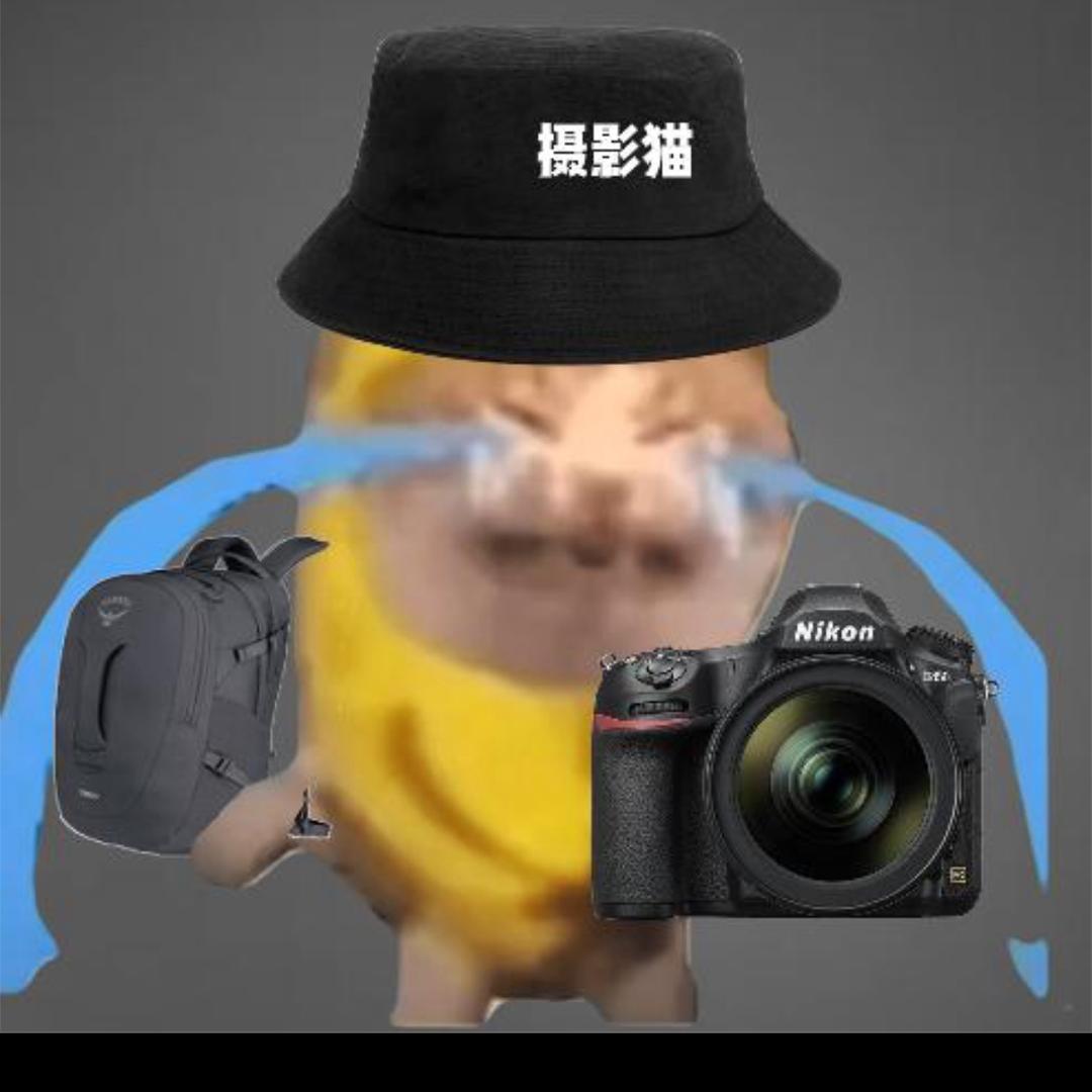 洋子