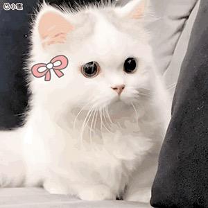 包花生