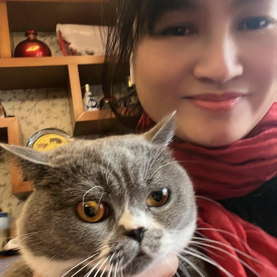 容猫