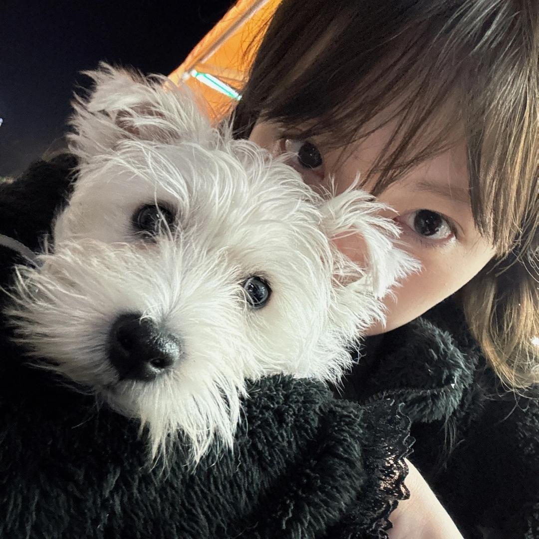 魏牌新能源-小嘎