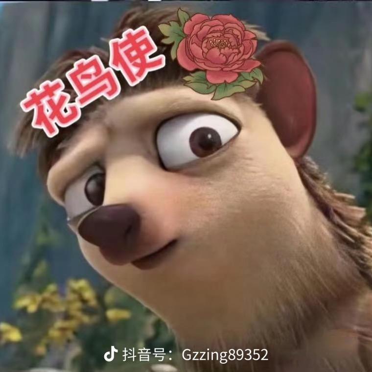 用户🐰