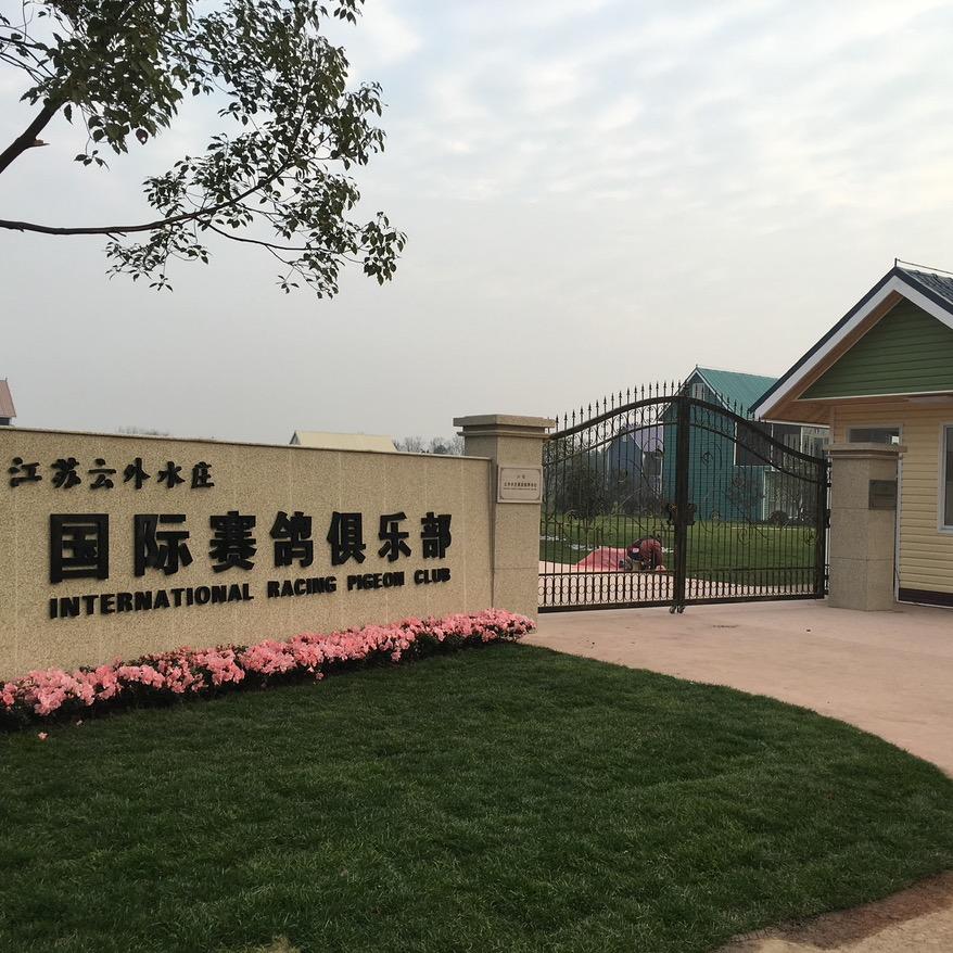 高先生（云外水庄）