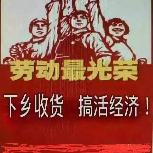 寻宝哥