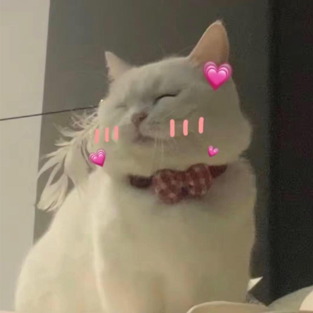 猪猪女孩👧