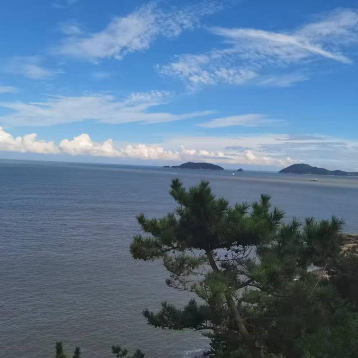 紫罗兰