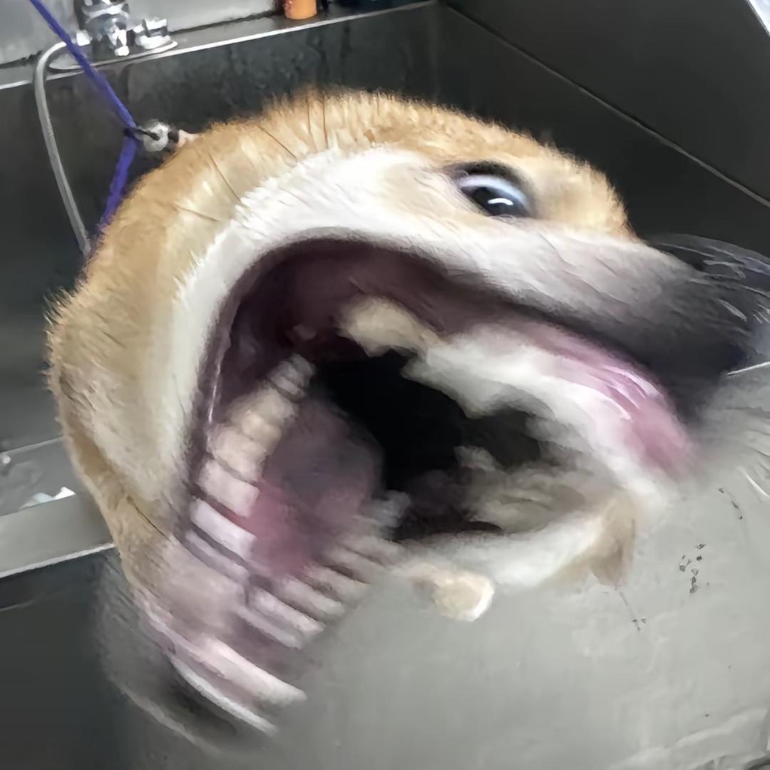 再加油