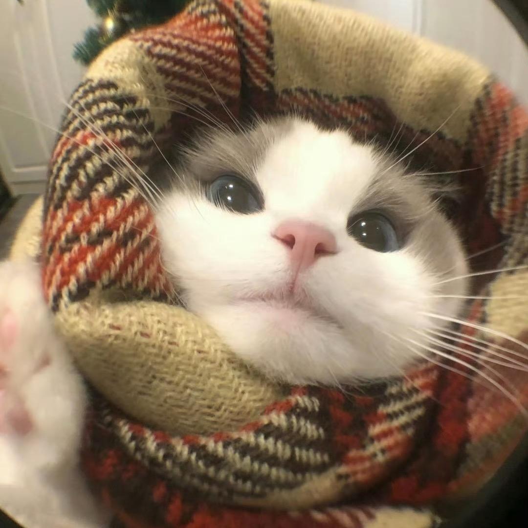 王姐山西麻辣拌（杭漂版）