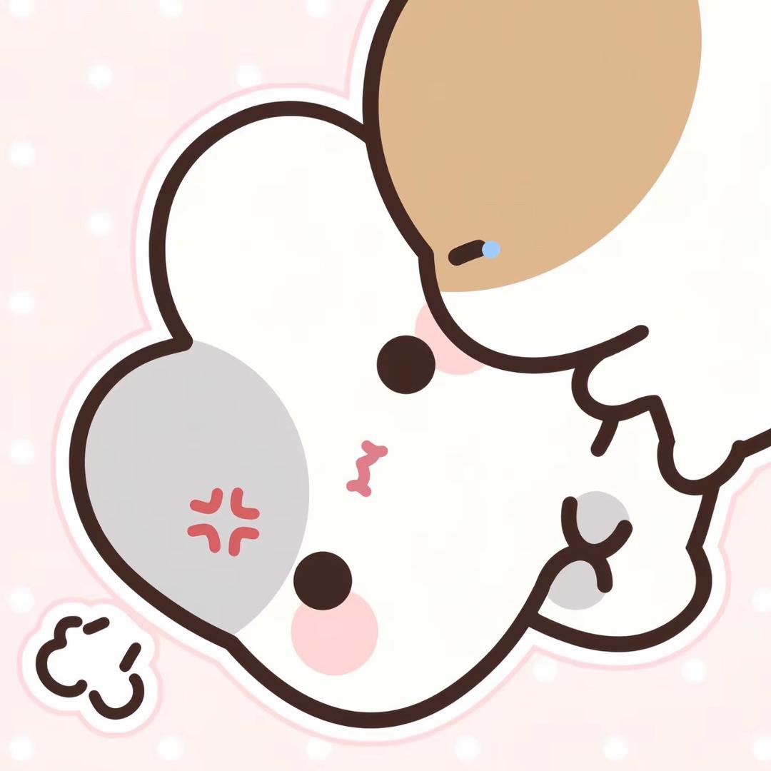 衬衣