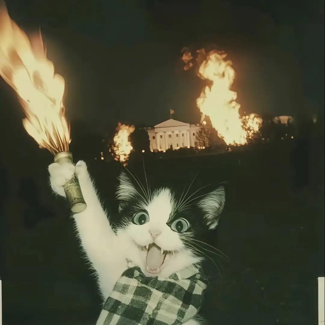 HERO
