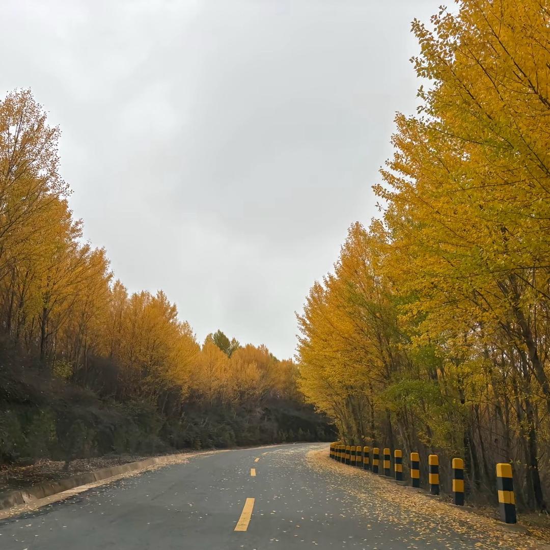 ꦿ路༊的᭄尽ꦿ头