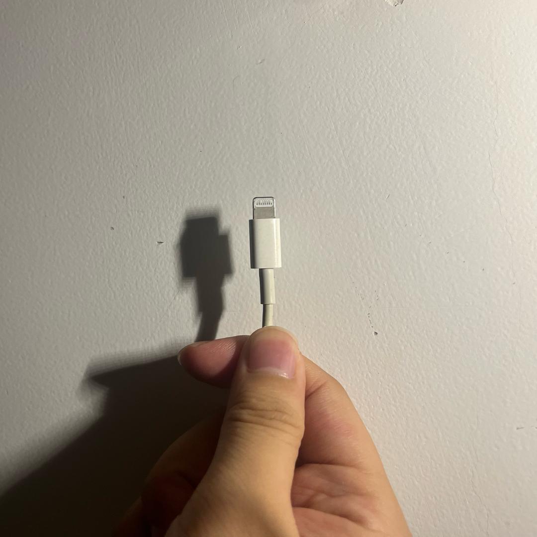 臭蚊子我拍死你