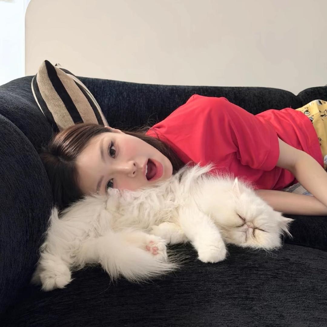 爱写不进日记📓