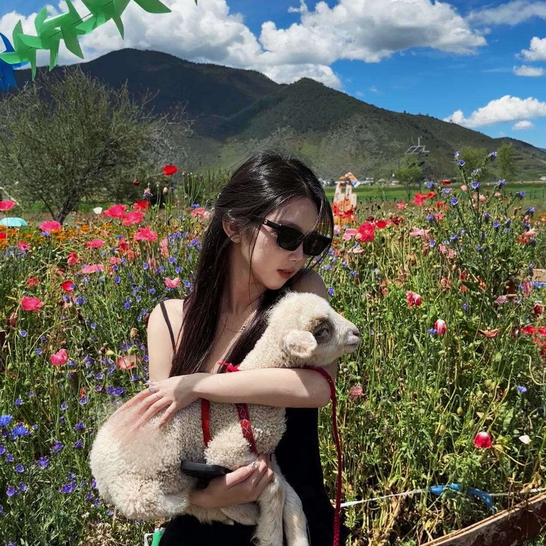 小啊芬