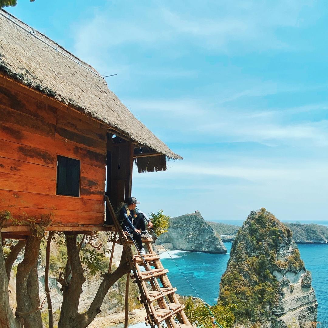 金熊猫旅行