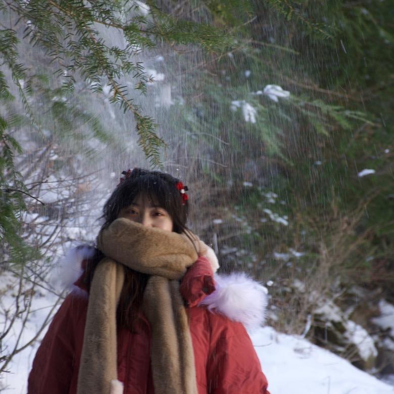 乱七八糟的香菇酱