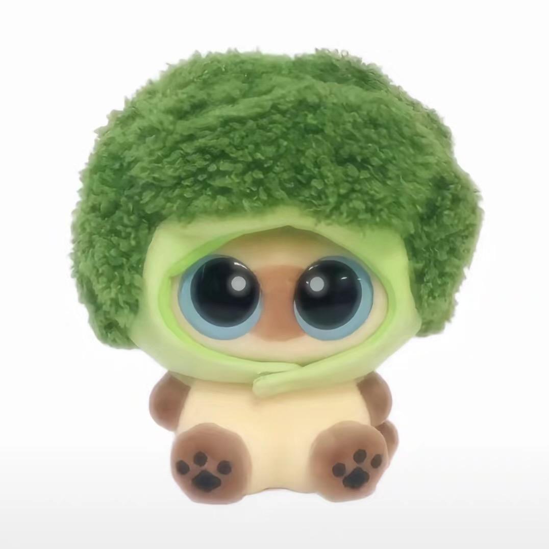 安阳工学院—小五同学