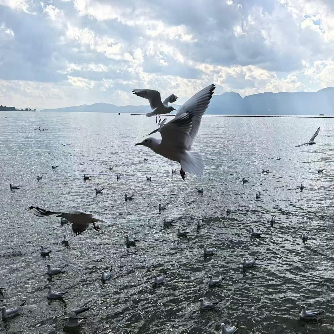 万物生