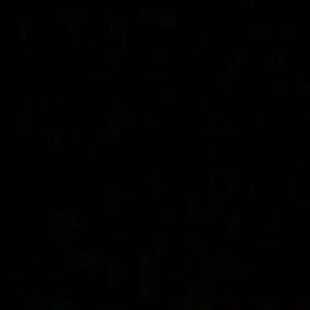 蔡蔡-