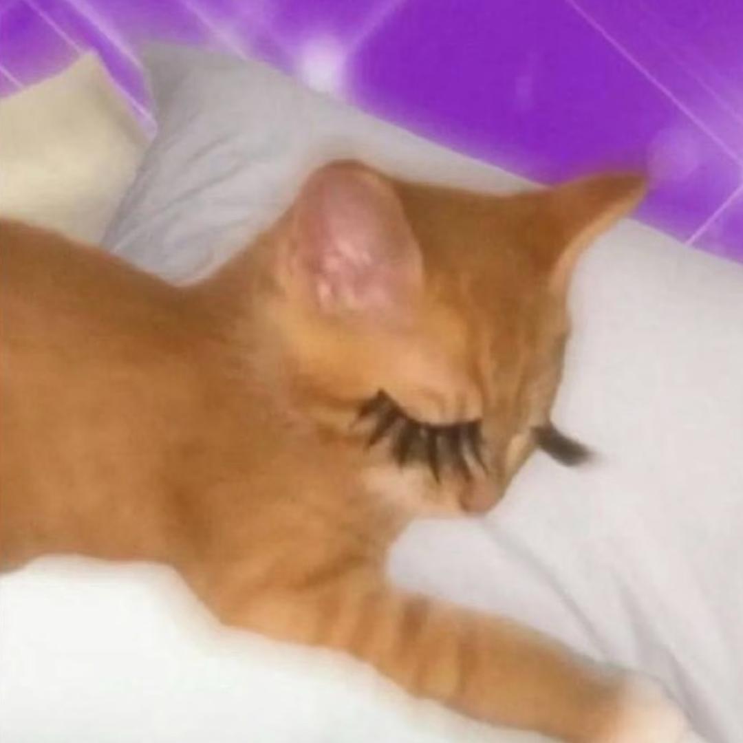 心事小鼠