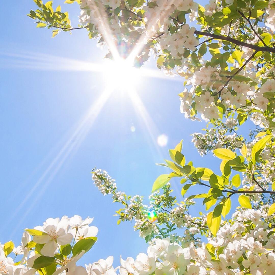 孤芳不自赏（WCY）