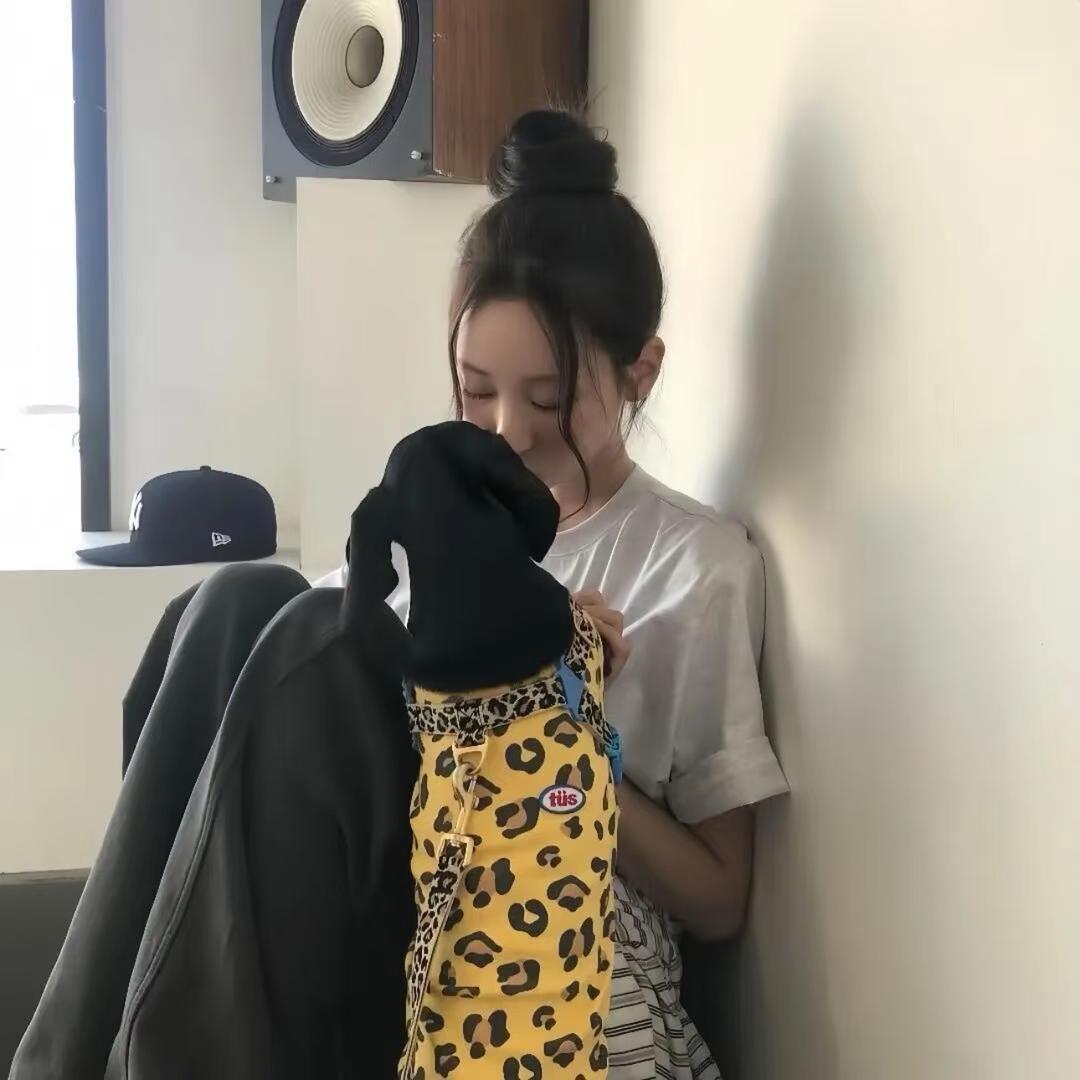 情绪稳定的成年人