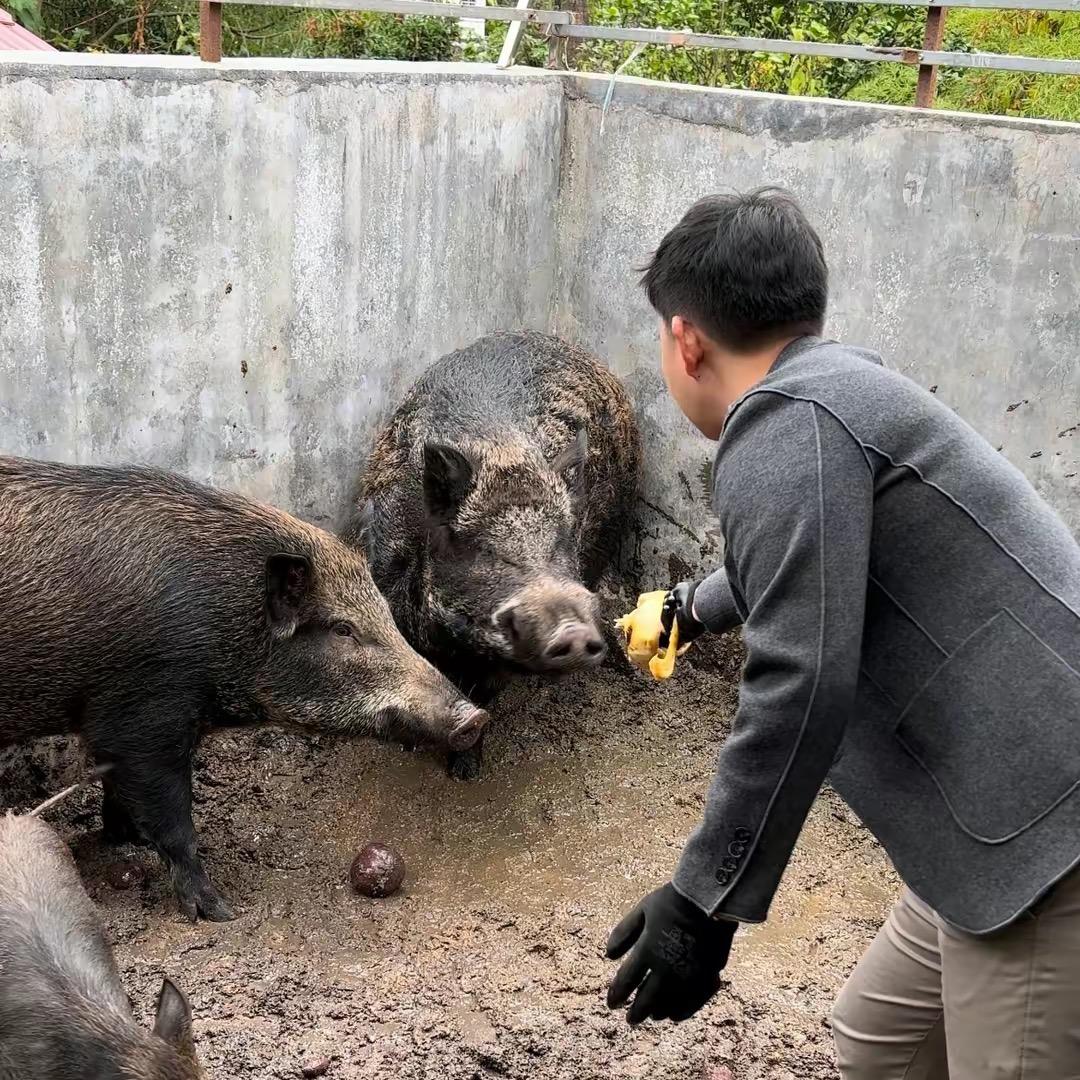 阿剑山货