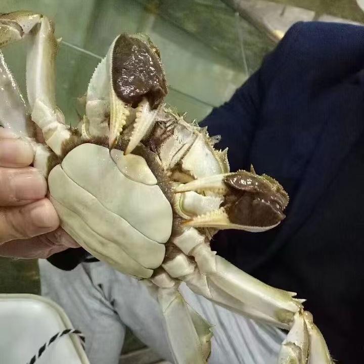 洪湖农人磊子