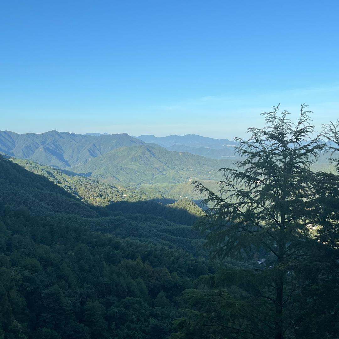 小丸子