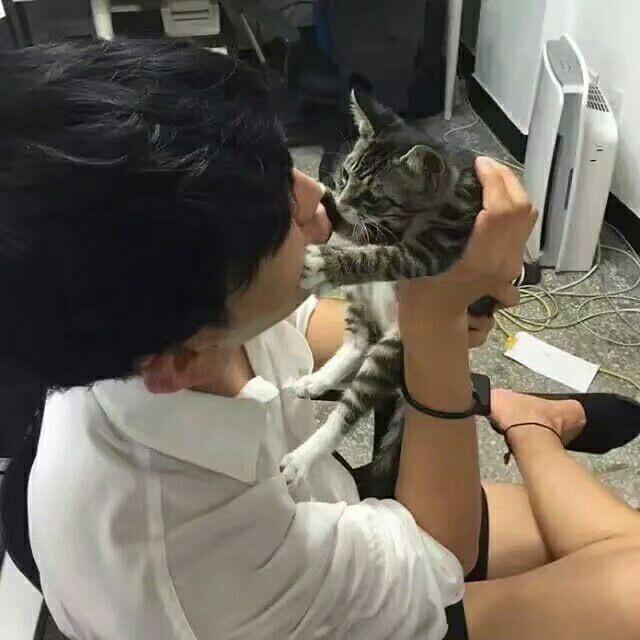 醋醋
