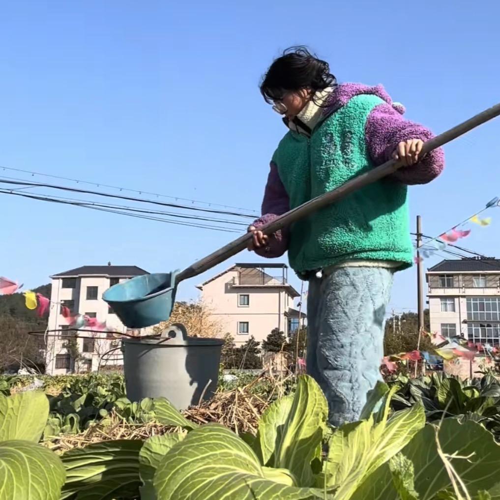 粥蘑蘑
