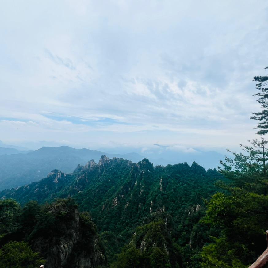 大婷在奋斗