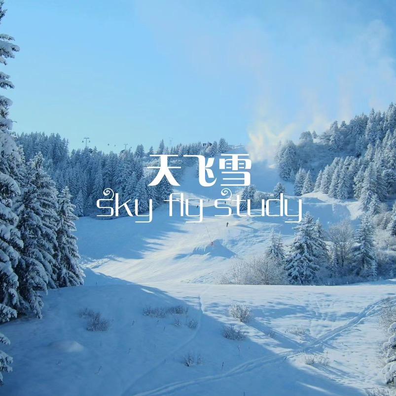天飞雪轻奢定制服饰