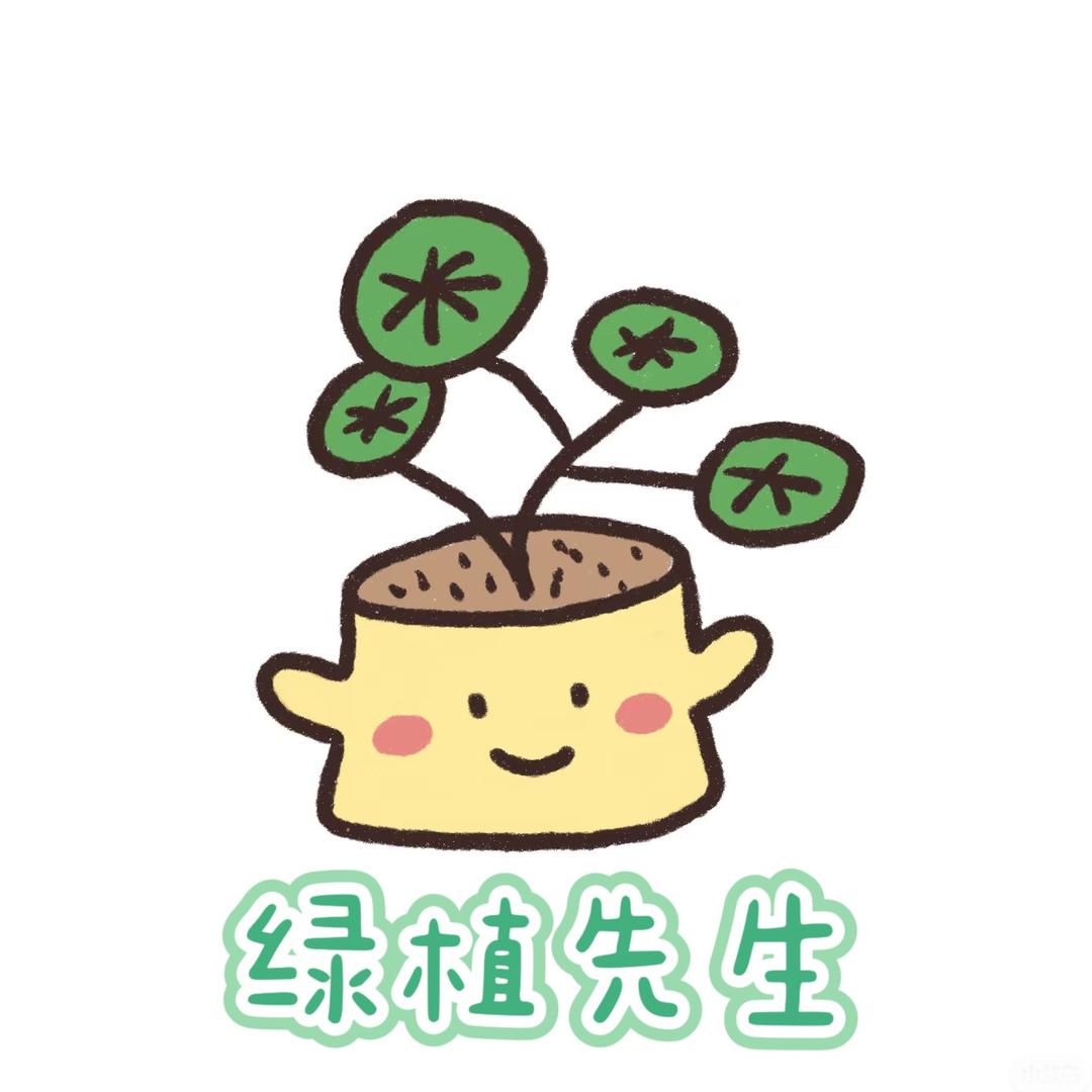 绿植先生