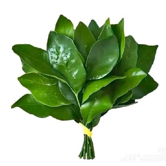嗯哼芥末呀