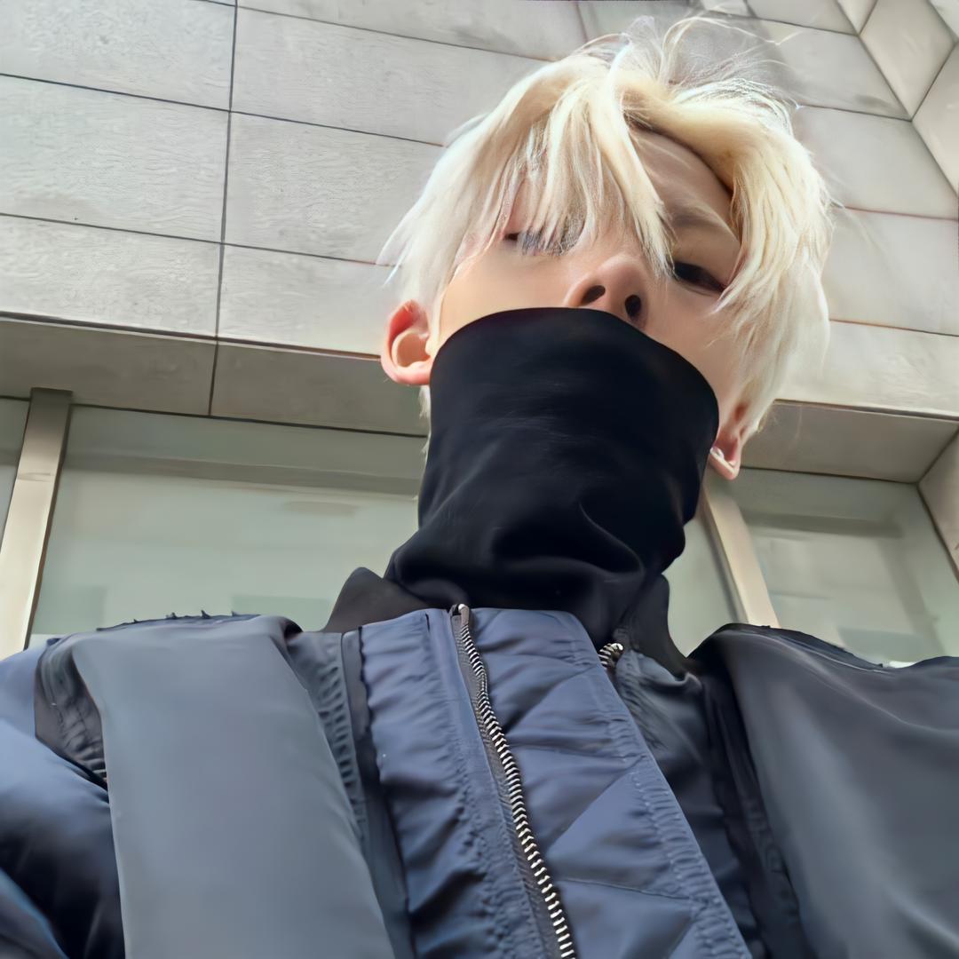 藏柳