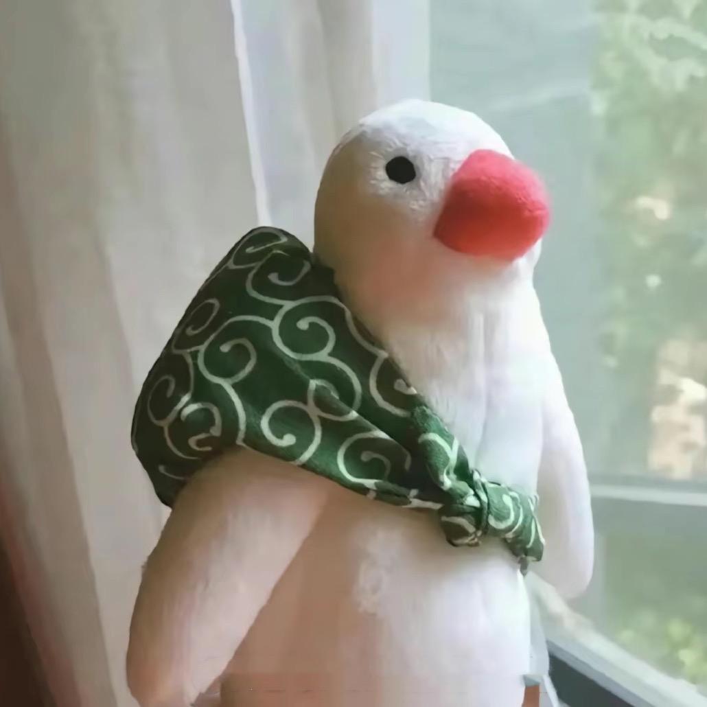 生如夏花😉