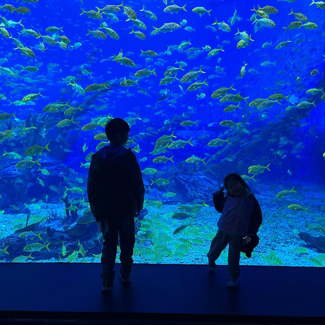 🌈🌈欢欢乐乐🌈🐳