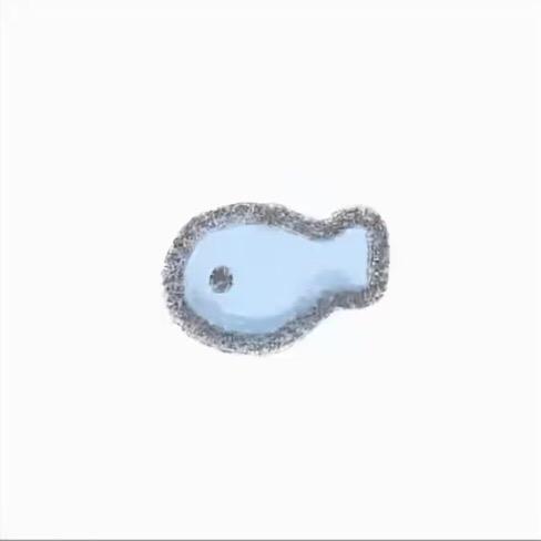 渔鱼🐟