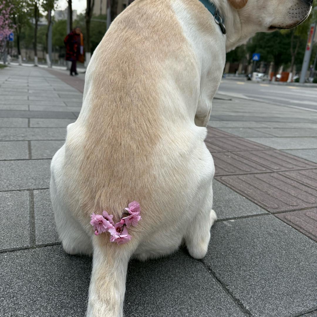 ..。。。