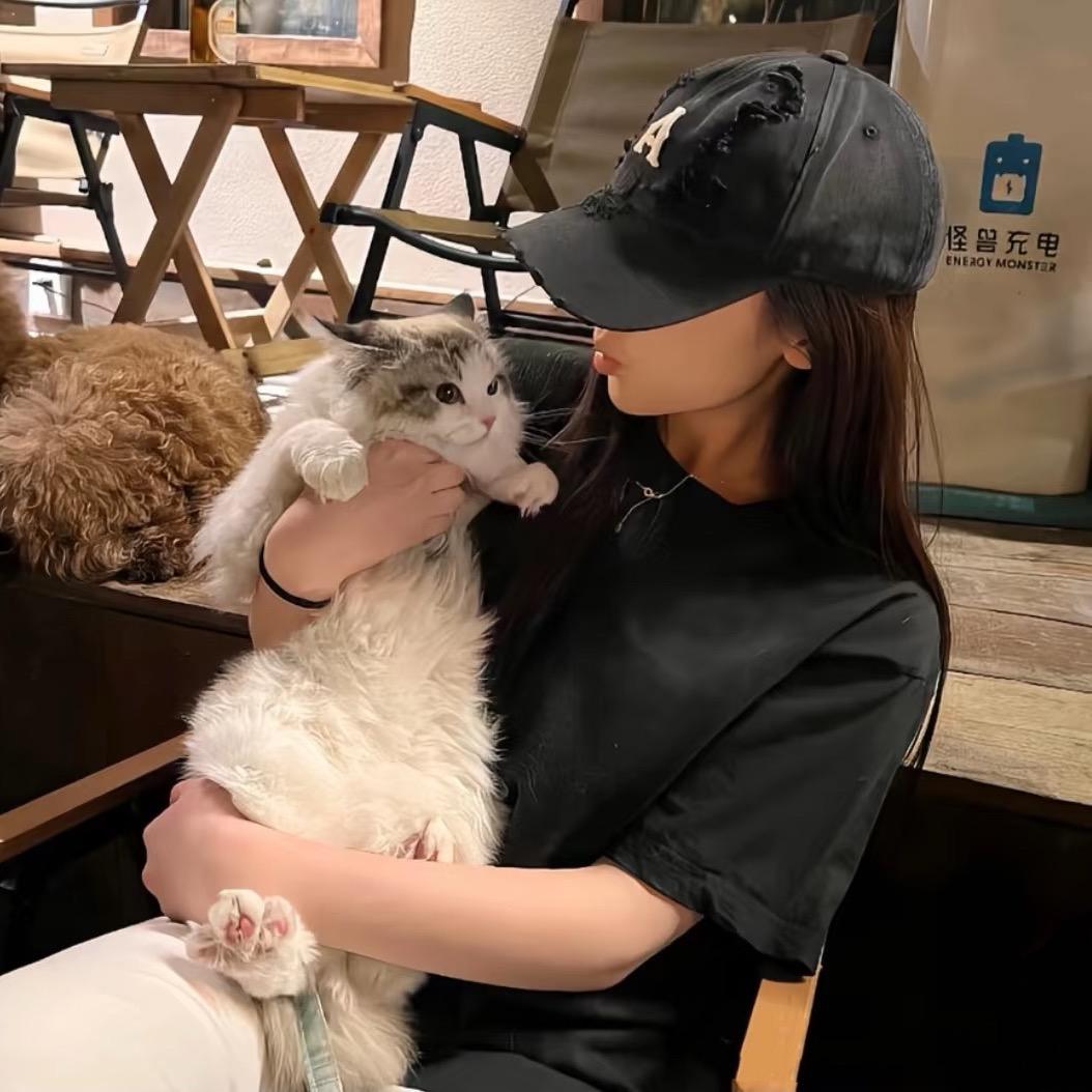 板栗可颂
