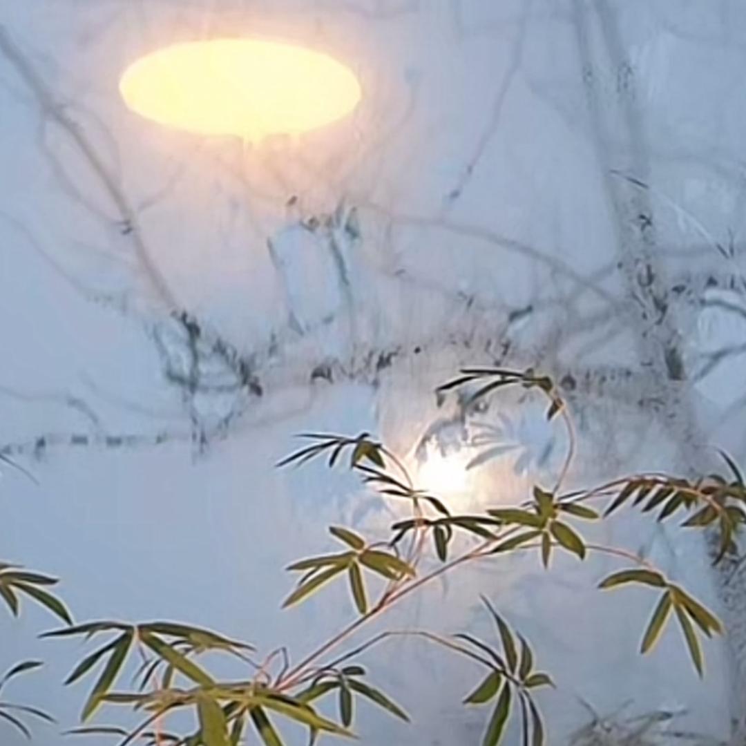 随心如水
