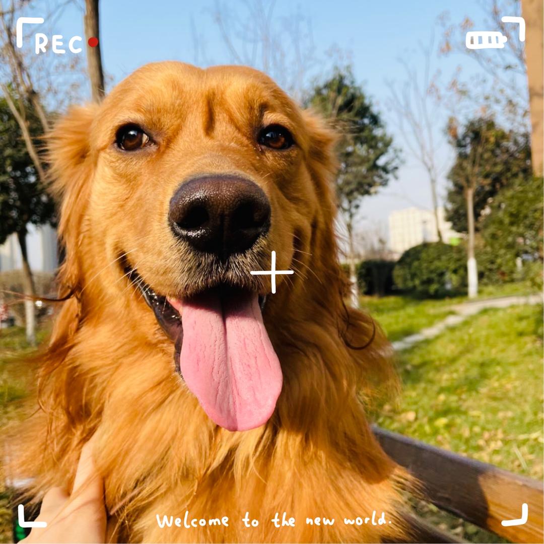 🅱️ 🧚🏻‍♀