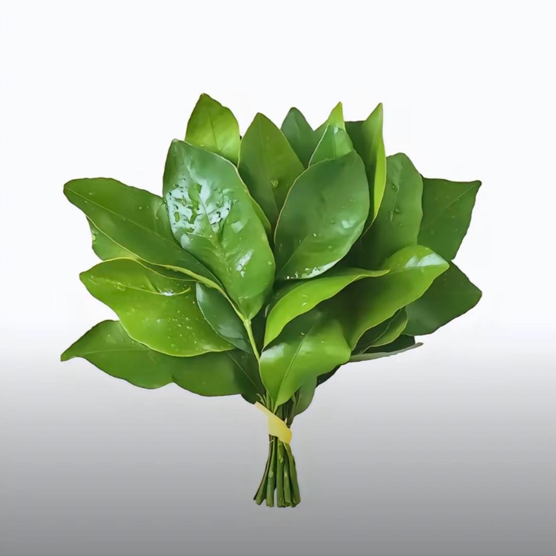 、🥀⃟ 欧尼ღ