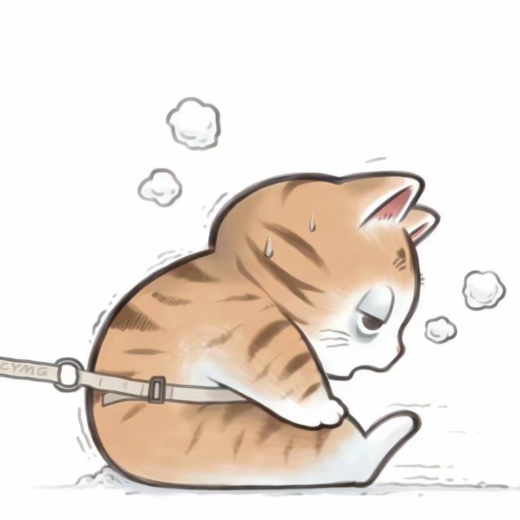 CF摆摆（西部新队收人）