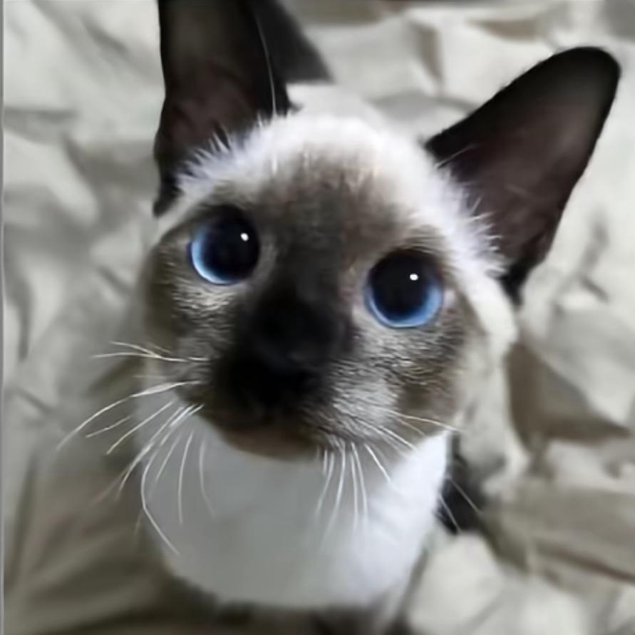 是或宇