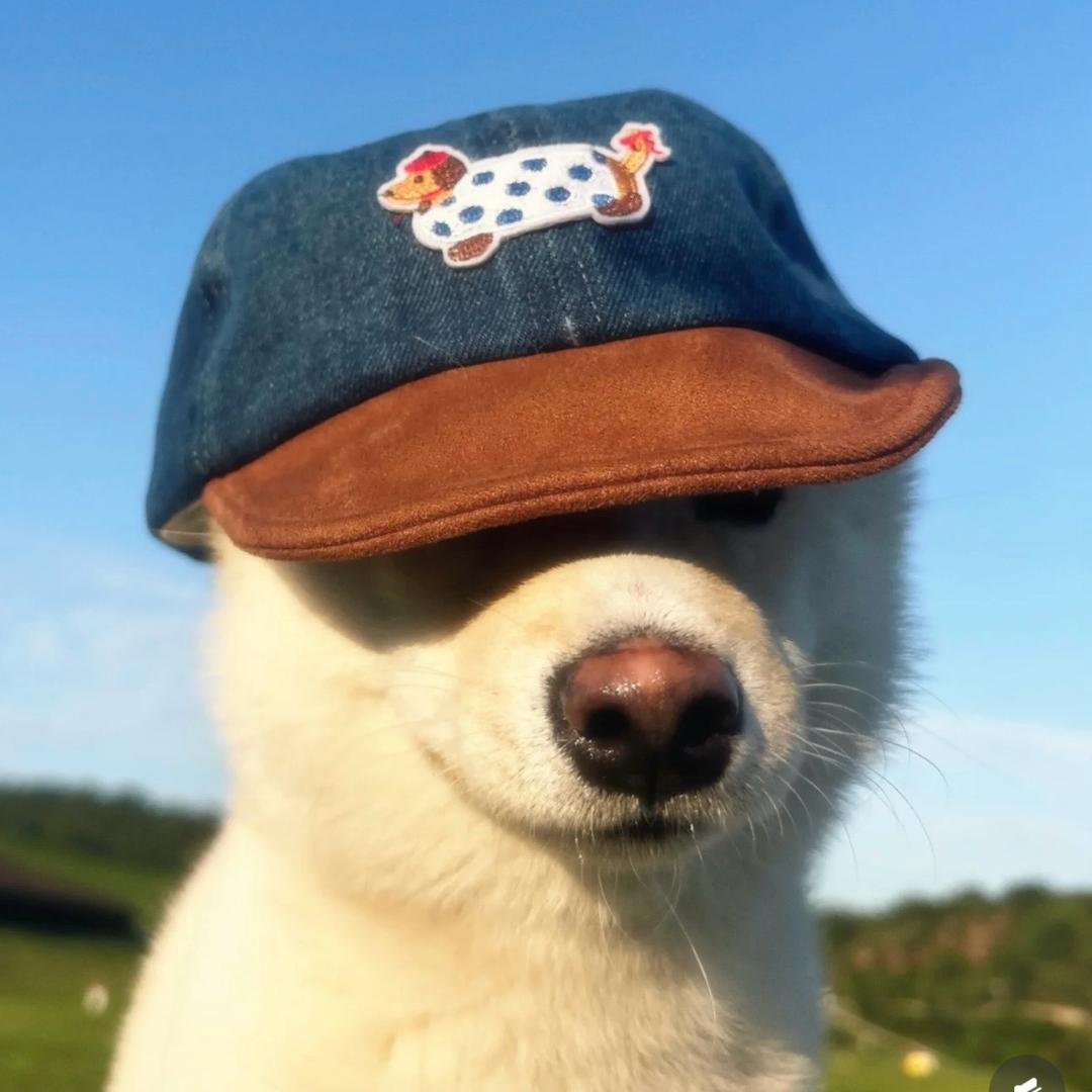 Russ